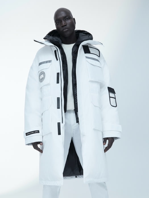 Canada goose 2024 01 julio