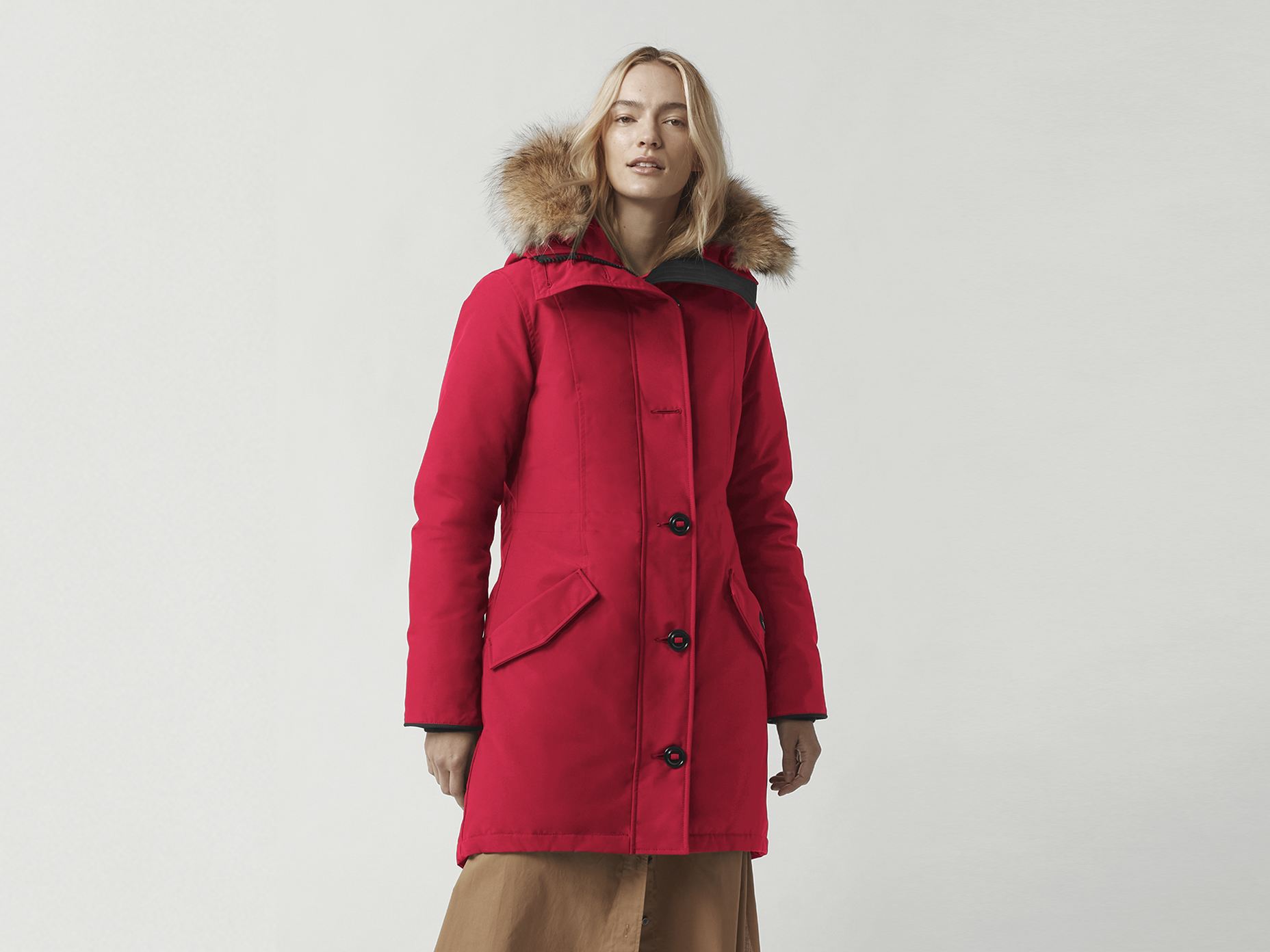Canada goose rossclair early light cheap