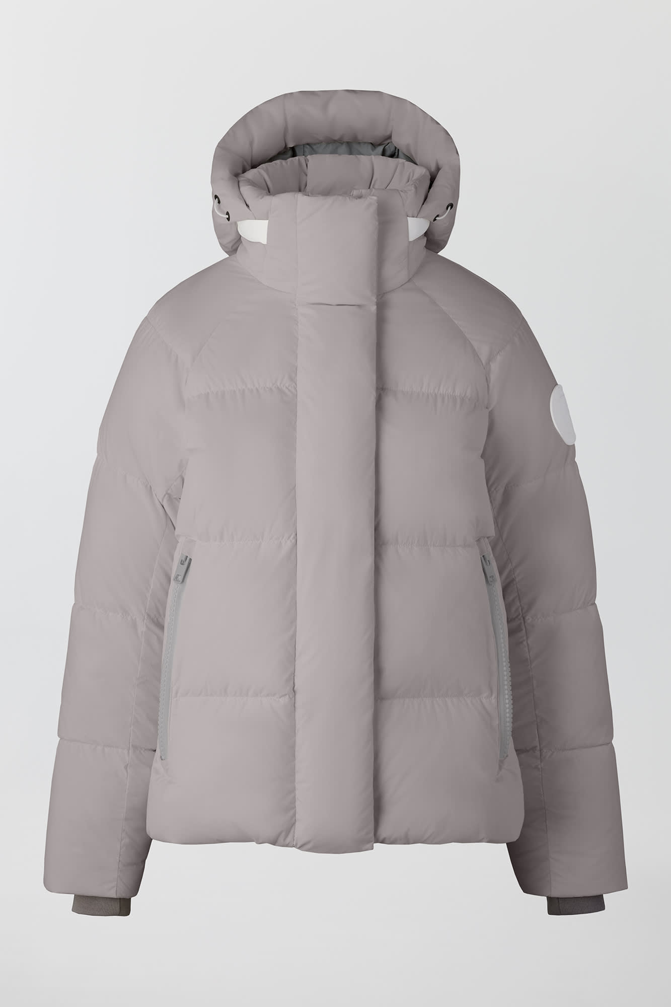 pastel canada goose