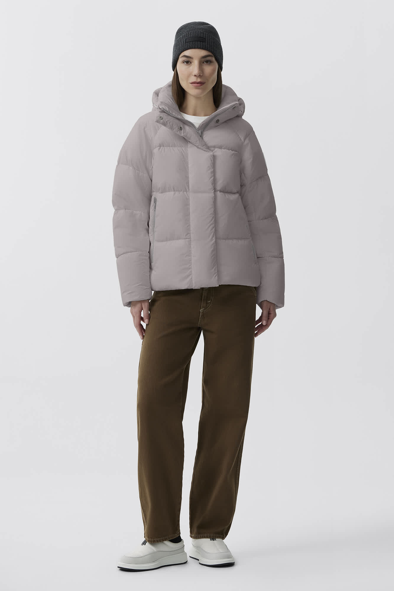 pastel canada goose