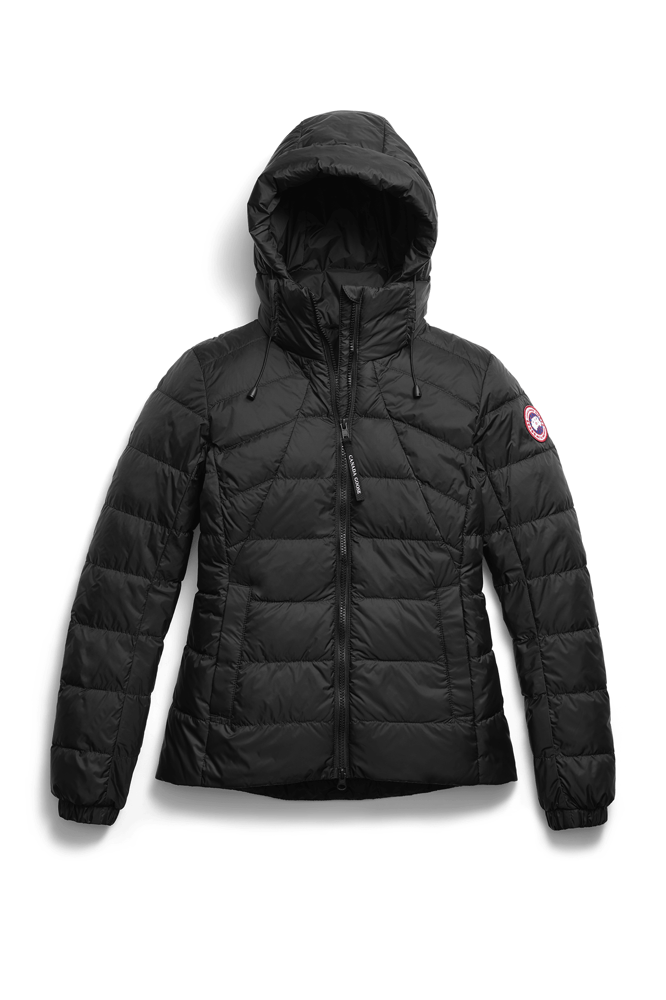  ＊PBI Abbott Down Hoody＊ライトダウン AbbotthoodyPBI_4_grande.jpg?v=