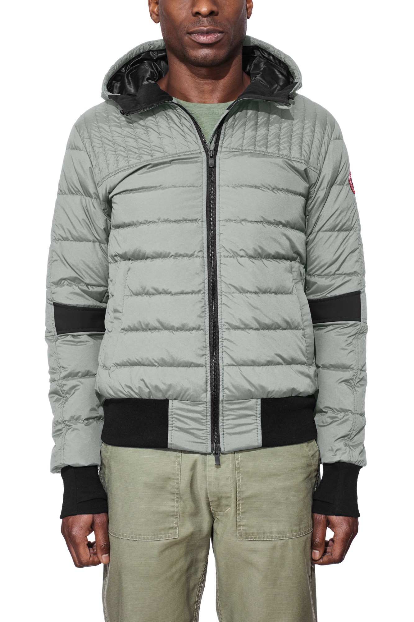 canada goose Permafrost canada goose Permafrost