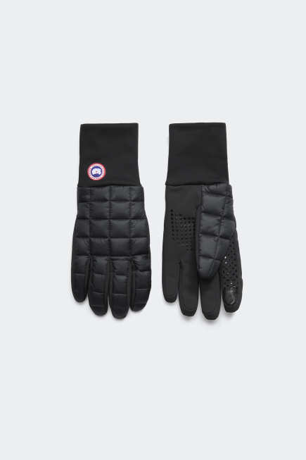 Northern Glove Liners