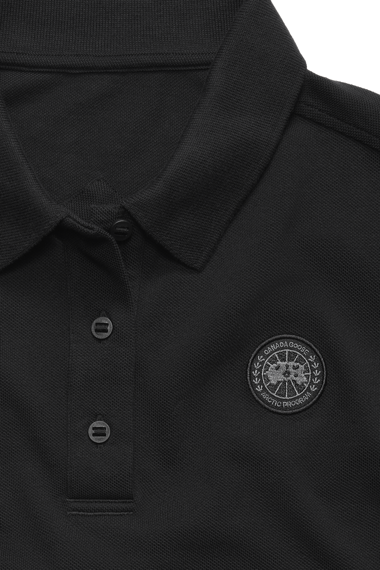 External Image - 1600WT_9061_p.png