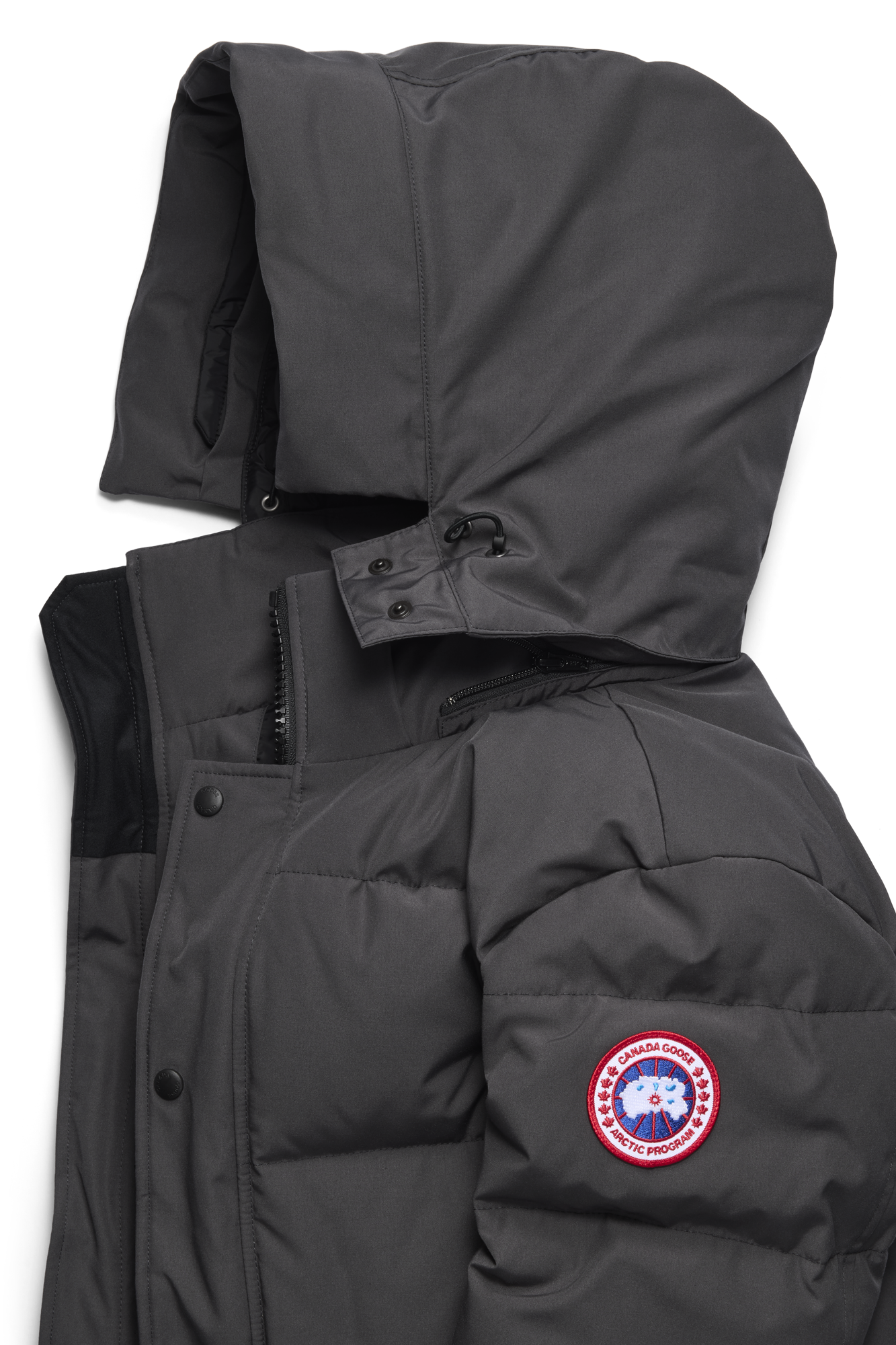 External Image - 2048M_9431_p.png