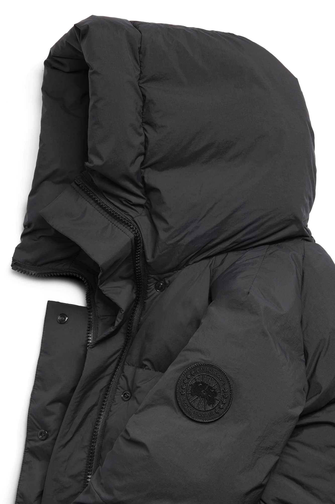 External Image - 2088WT_9061_p.png