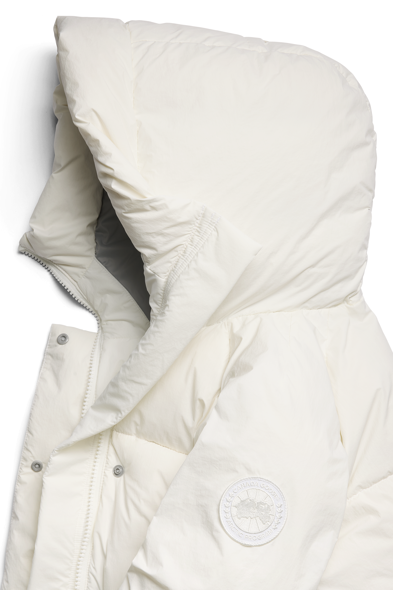 External Image - 2088WT_9433_p.png