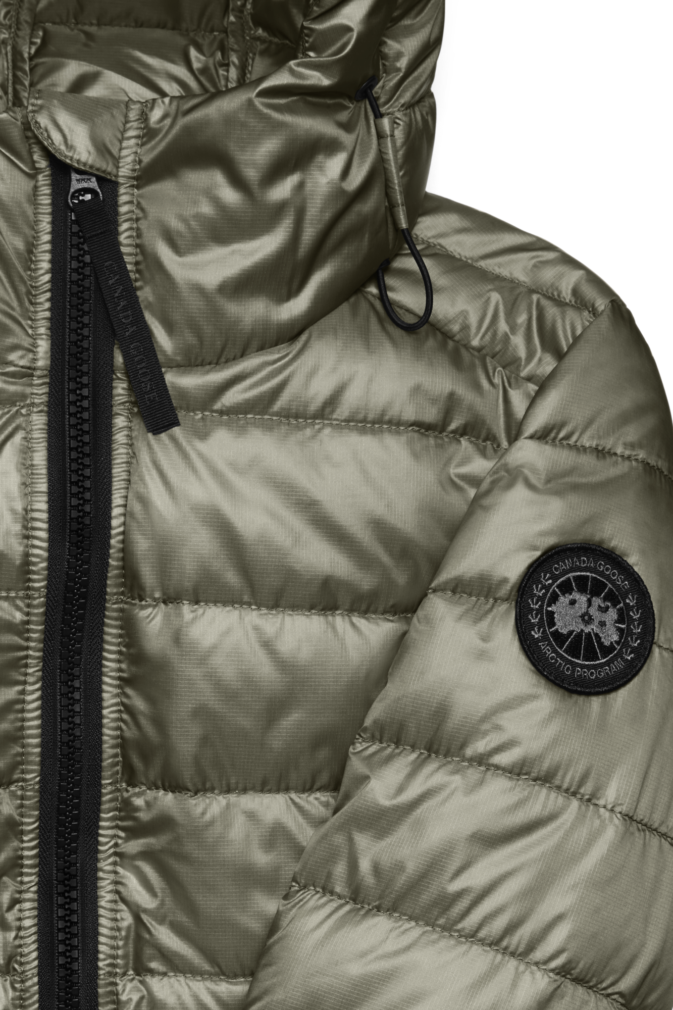 External Image - 2242WB_1664_p.png