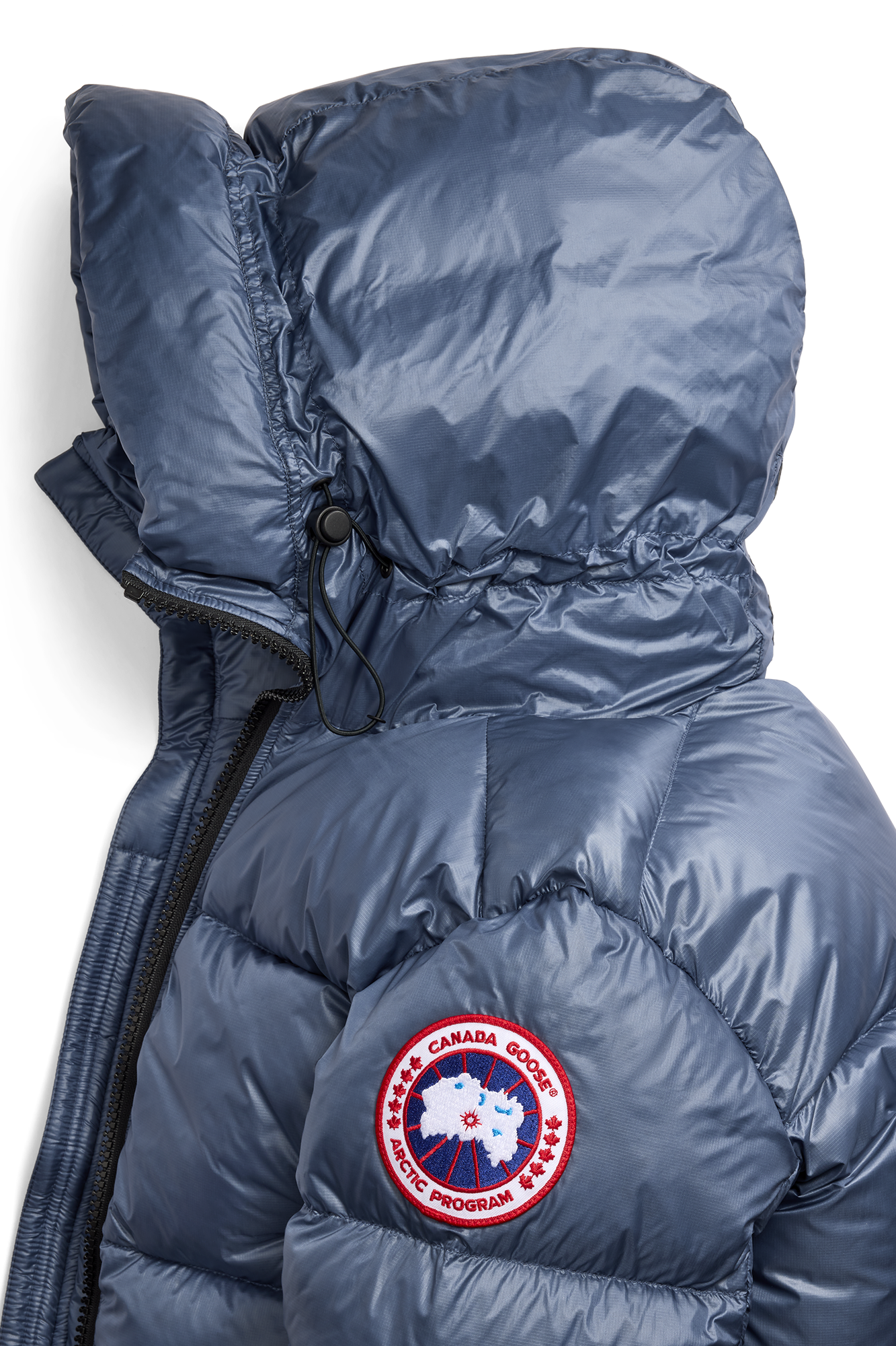 External Image - 2252M_222_p.png