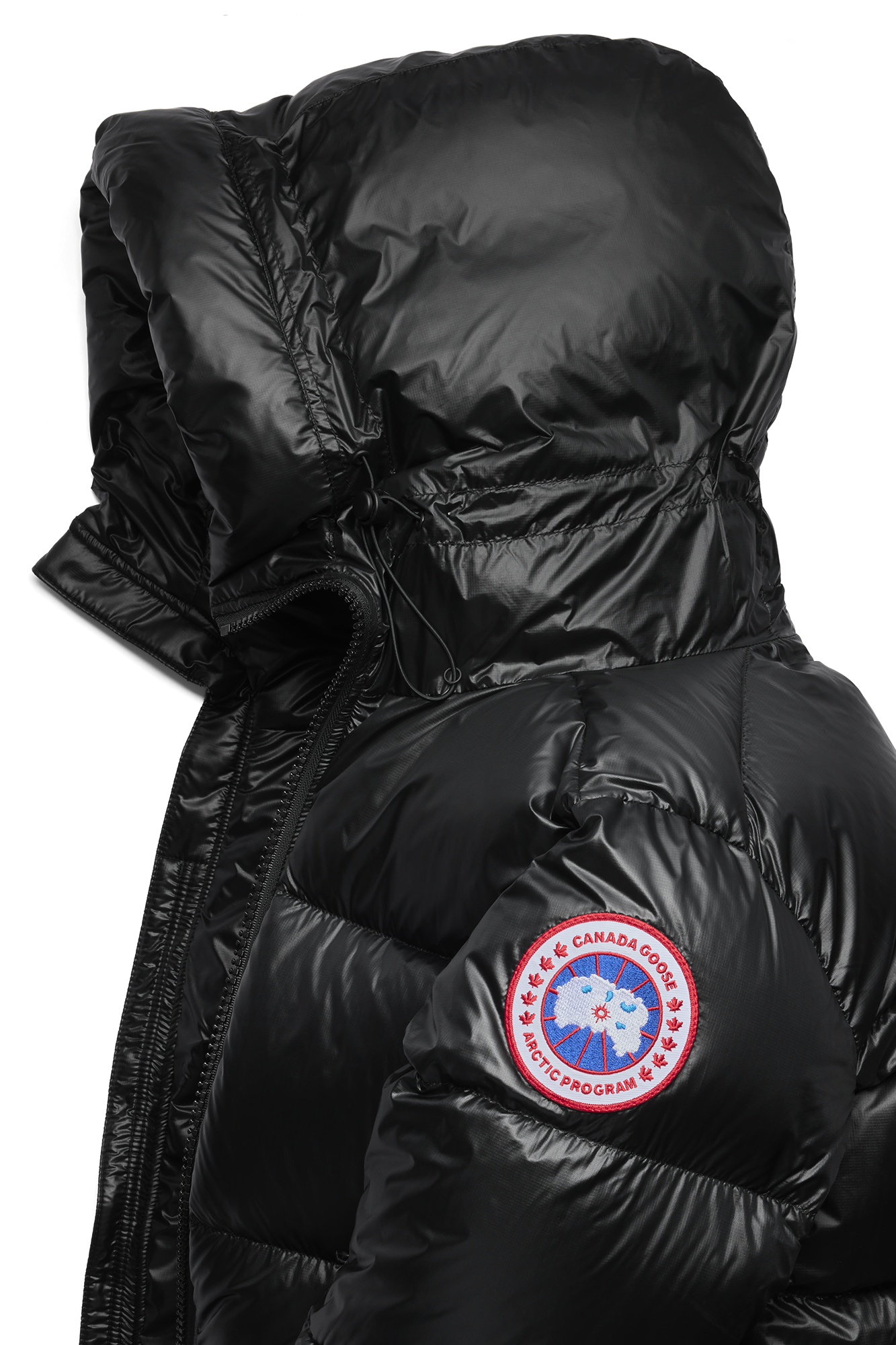 External Image - 2252M_61_p.png