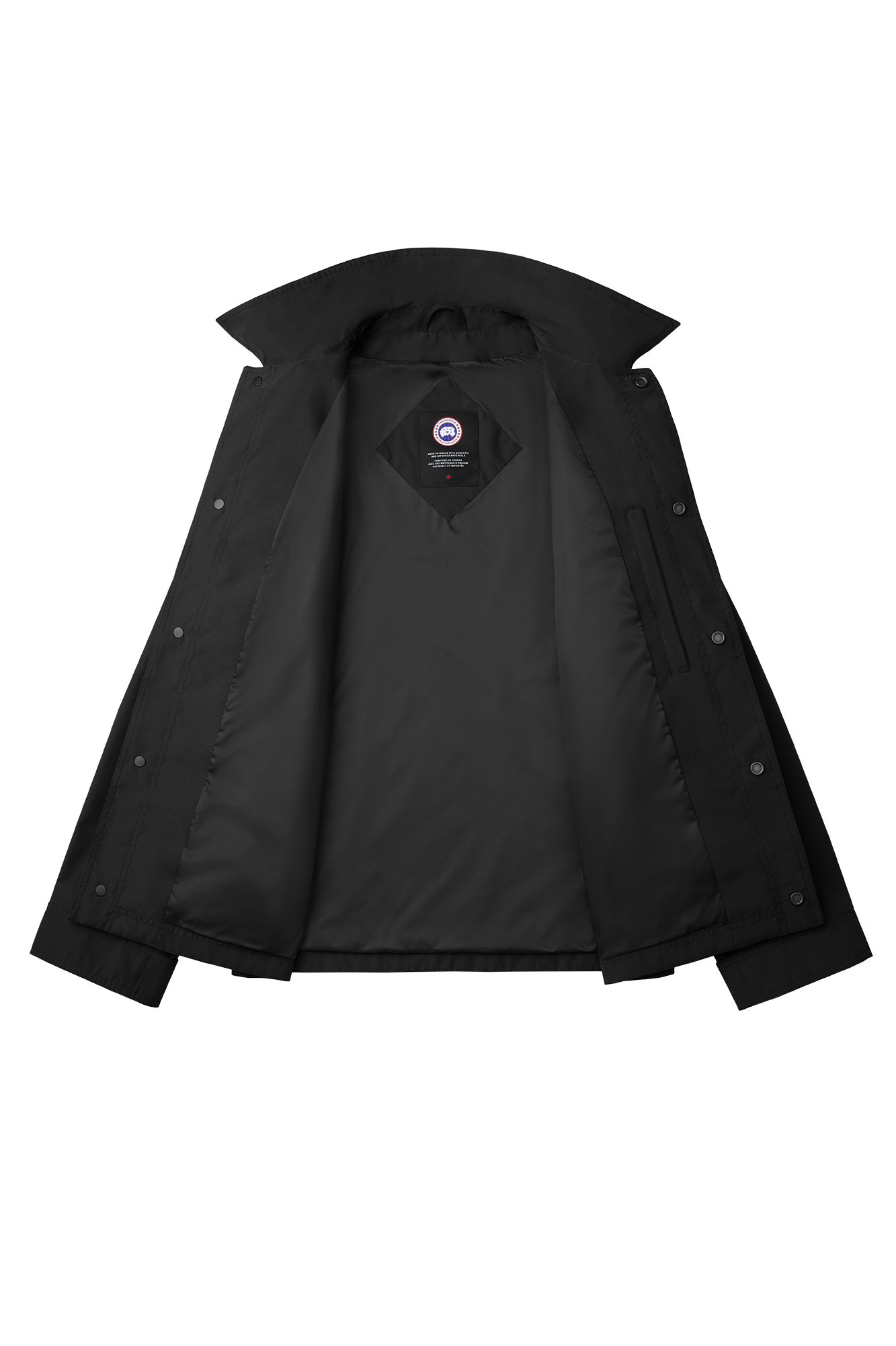 External Image - 2447M_61_p.png