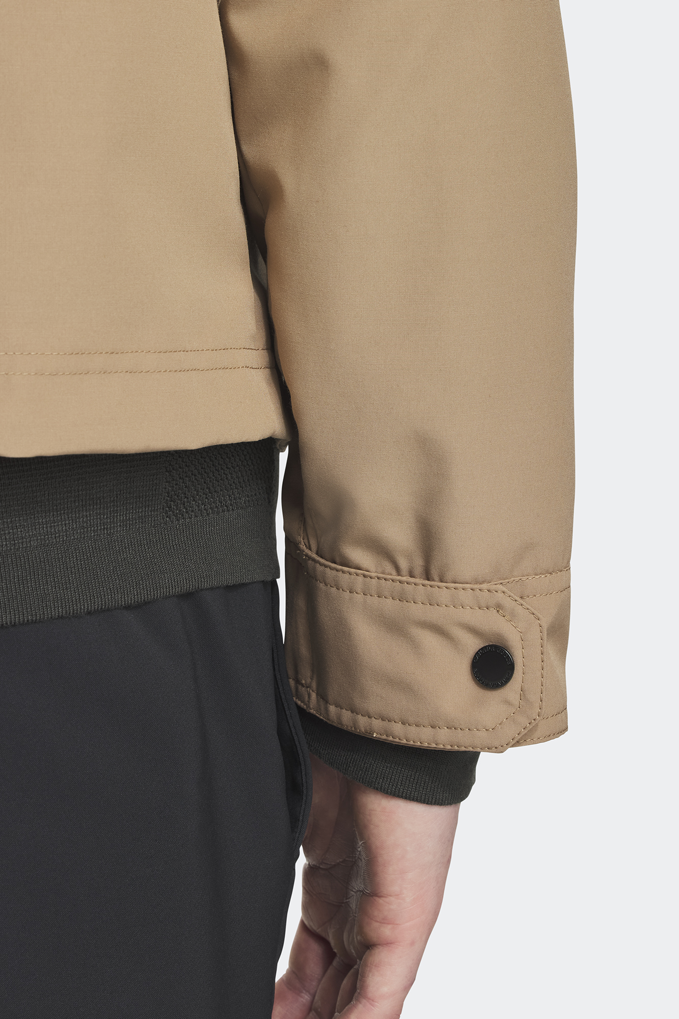 External Image - 2448MB_1483_e.jpg