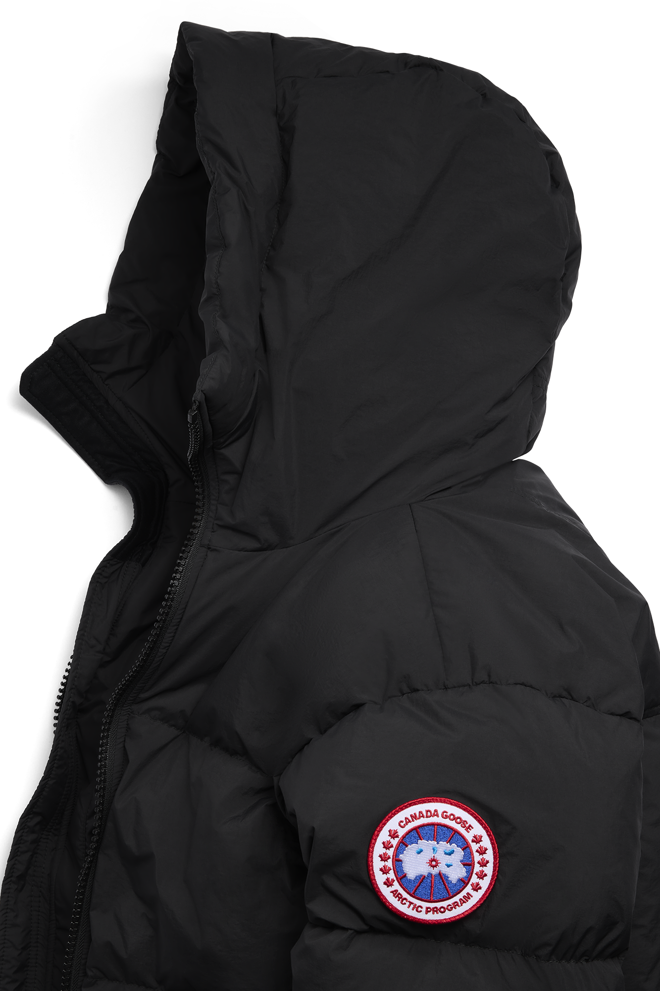 External Image - 2800M_9061_p.png