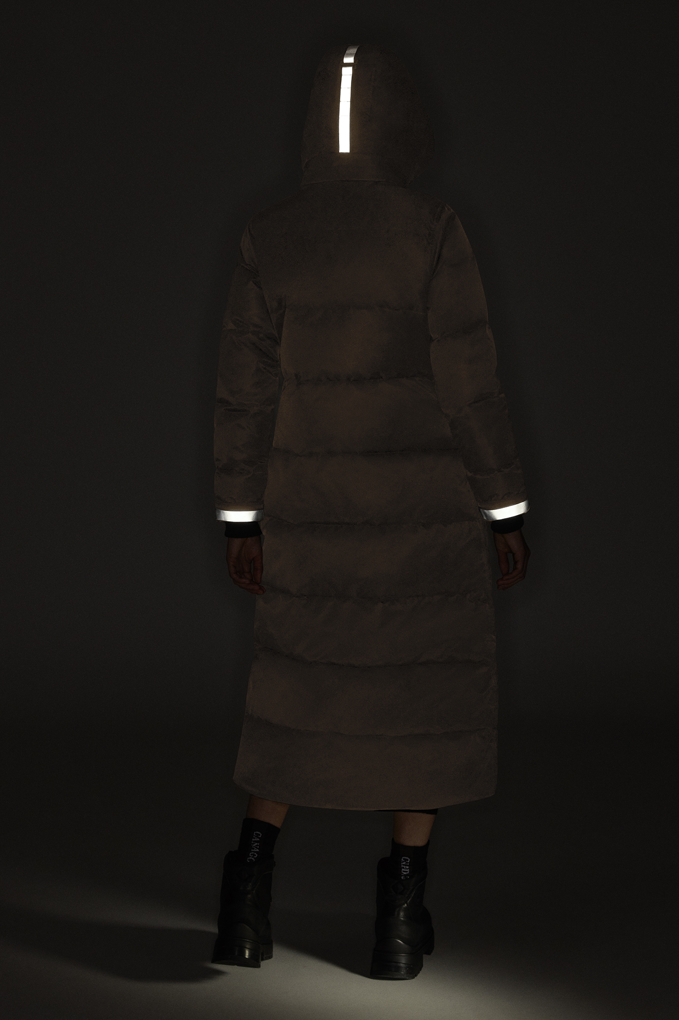 External Image - 3035WB1_1483_e.jpg