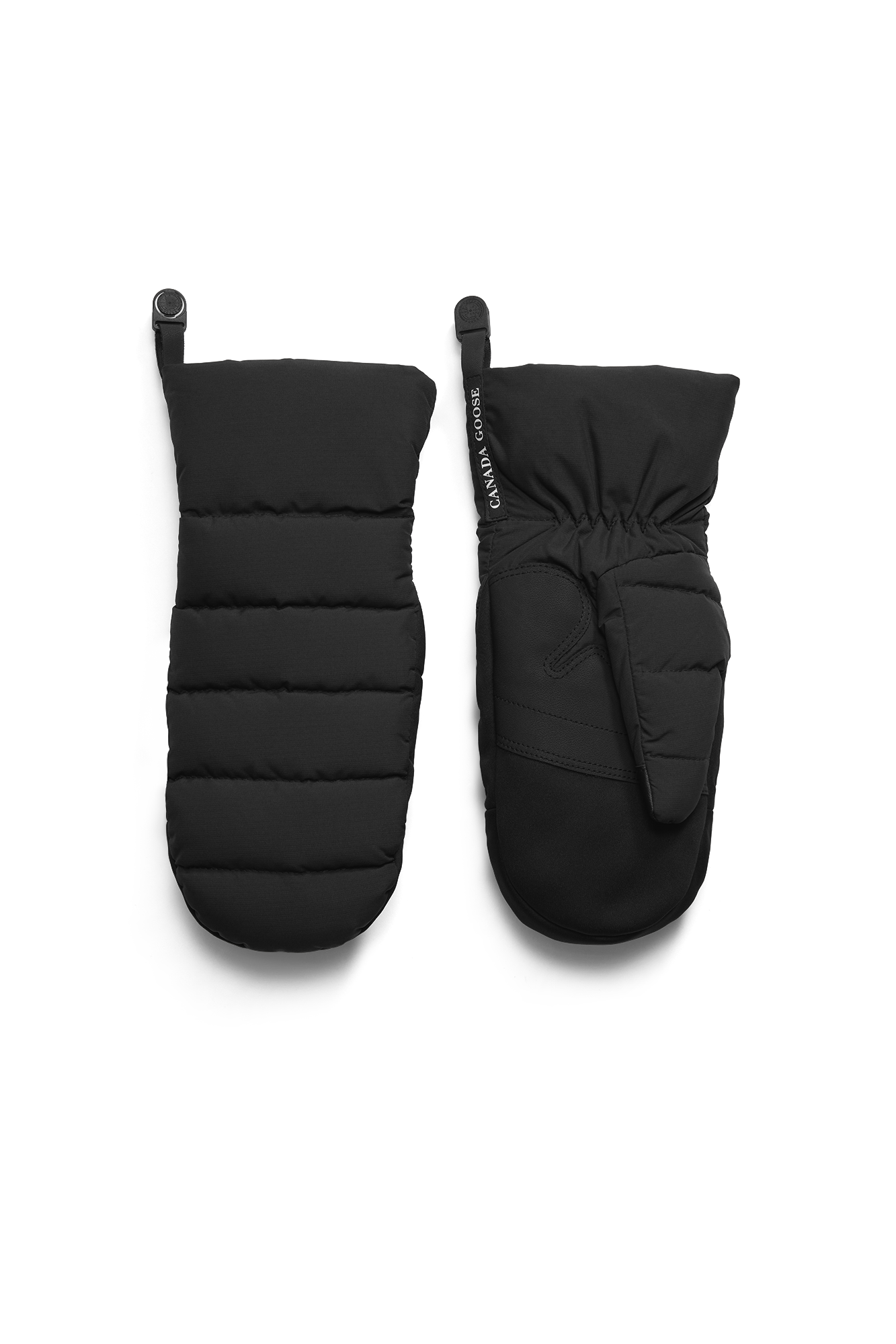 External Image - 6016W2_61_o.png