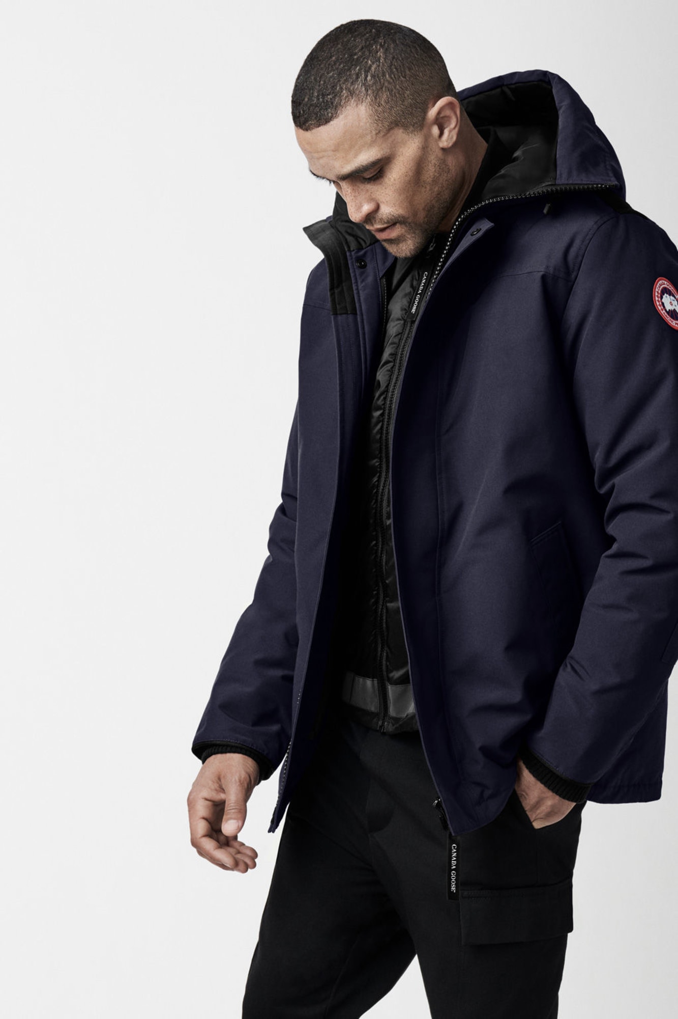 garibaldi canada goose