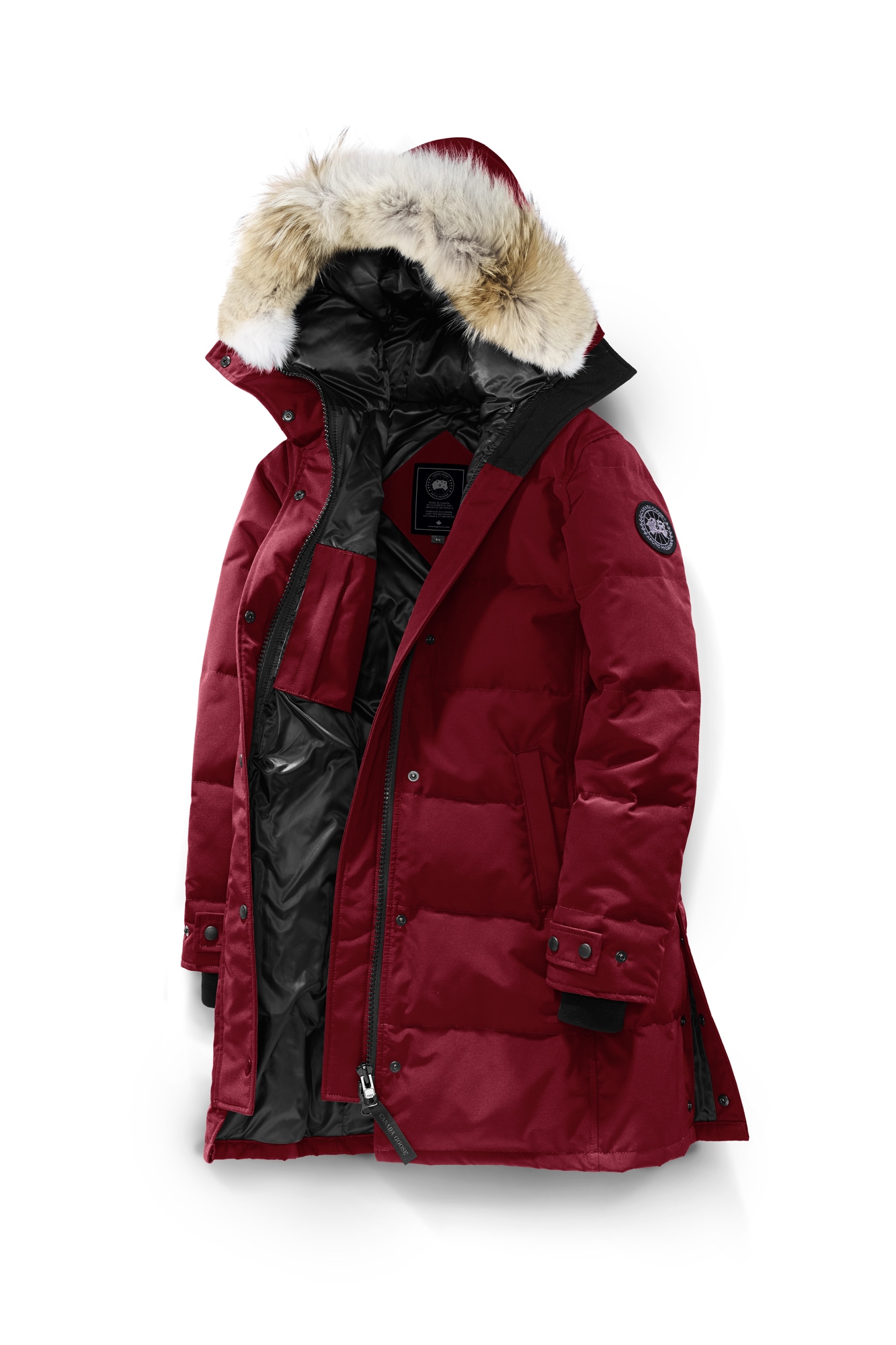 canada goose red maple