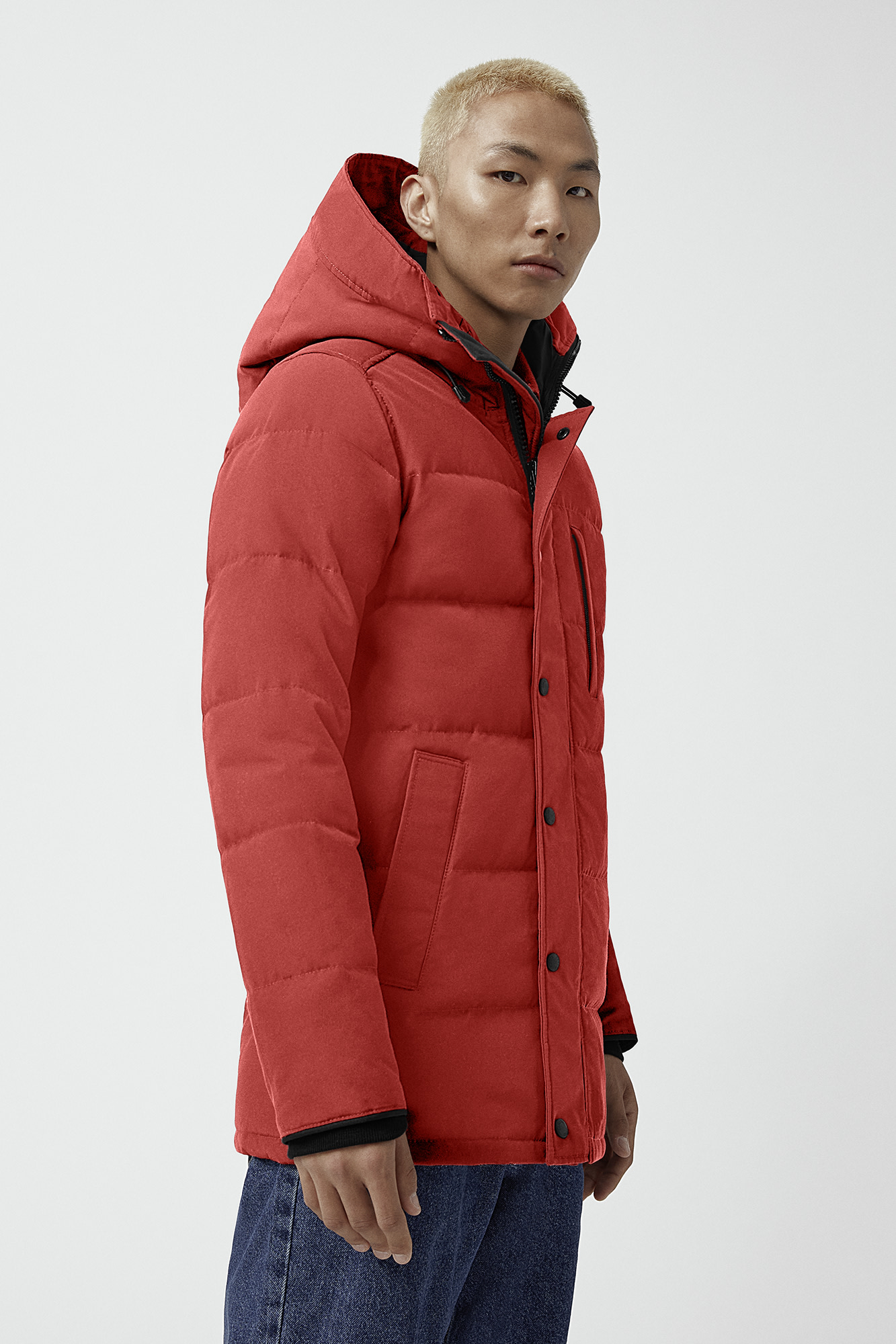 canada goose red maple