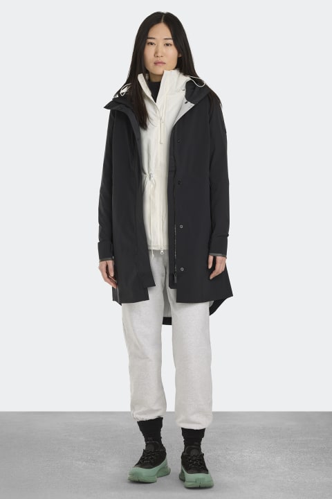 canada goose salida