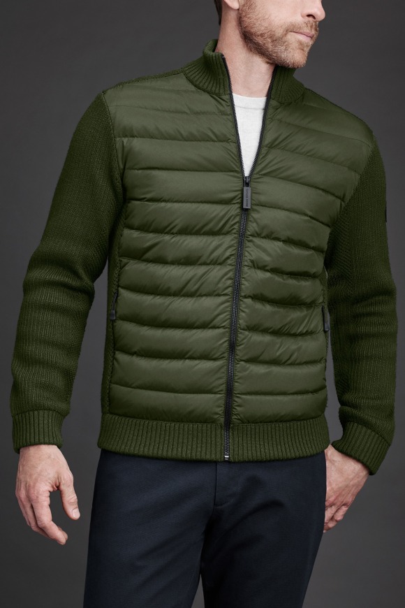 blue canada goose hybridge