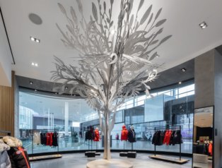 Explore our Art Collection