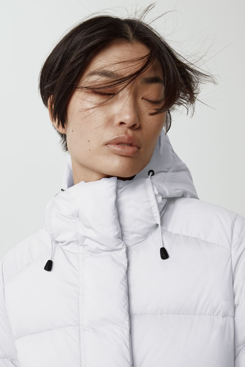Alliston canada goose sale