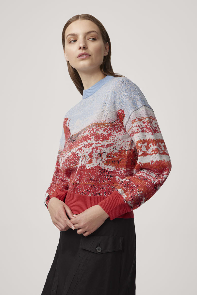 Landscape Wool Knit Sweater Canada Goose CN
