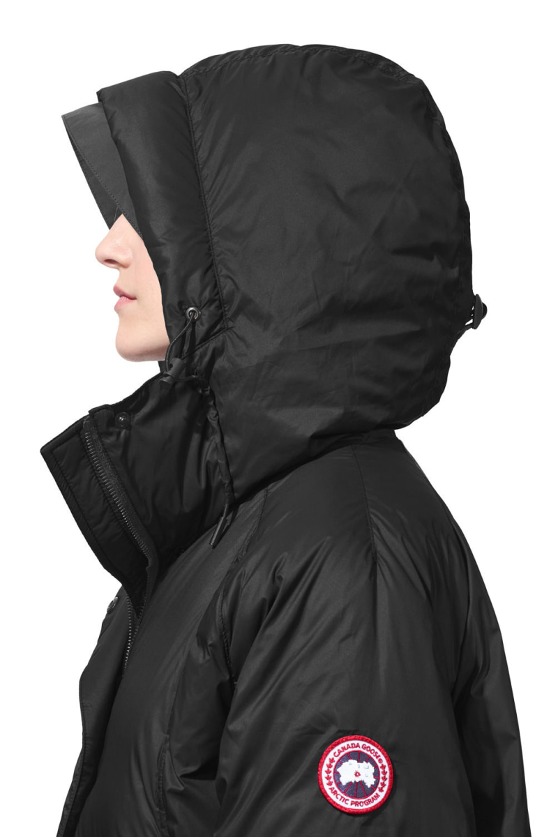 campden canada goose