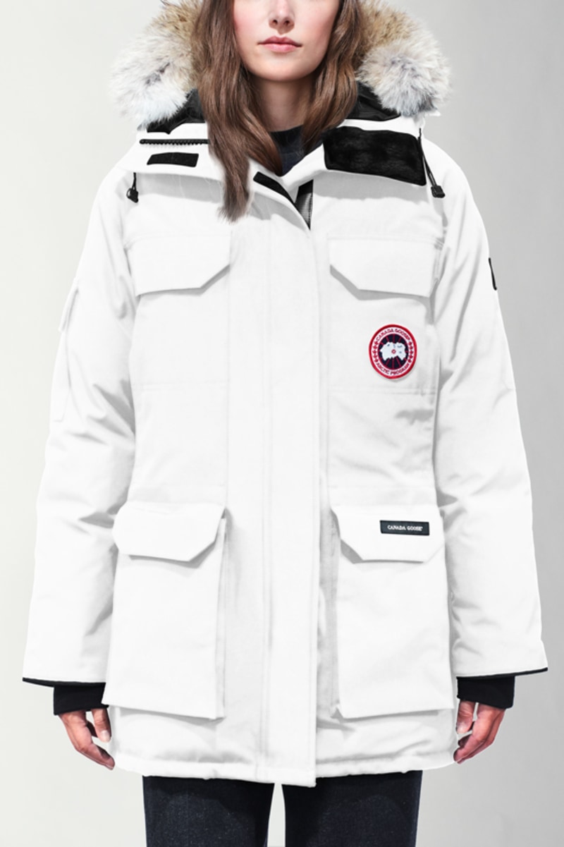 Canada goose expedition early light cheap