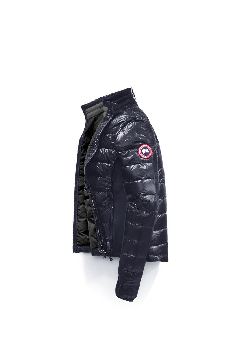 canada goose glossy coat
