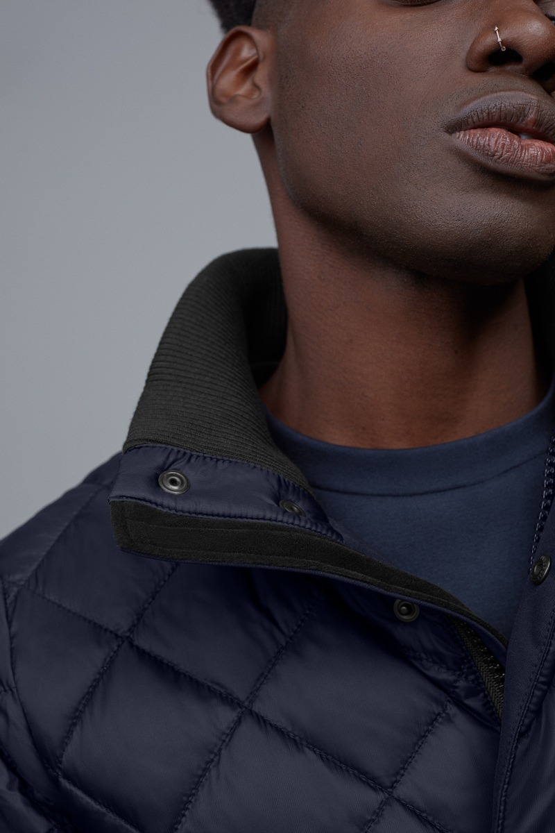 hendriksen canada goose