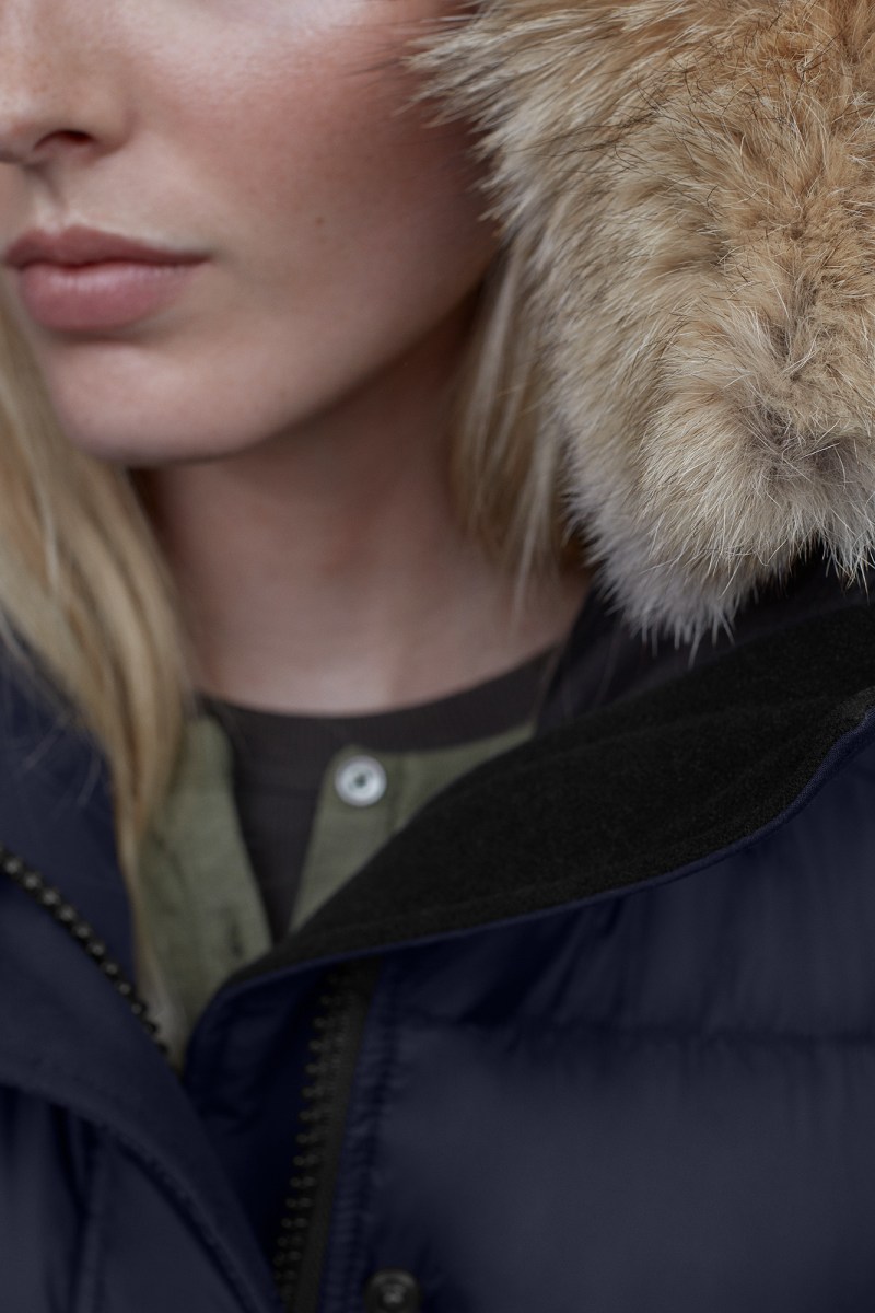 rowley canada goose